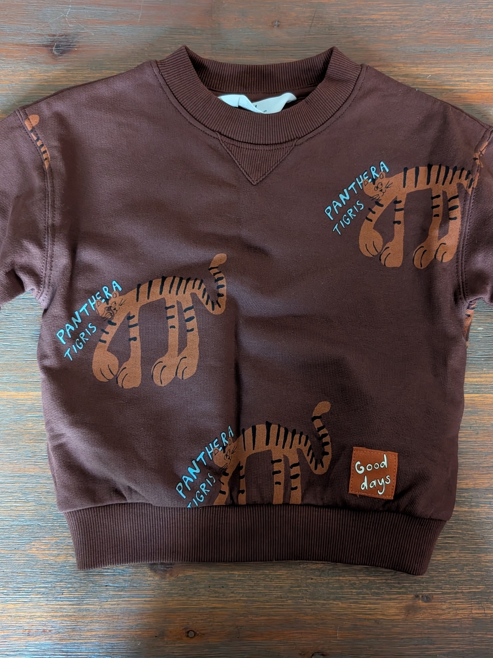 H&M Brown Sweatshirt with Tiger Graphics and Blue Accents
